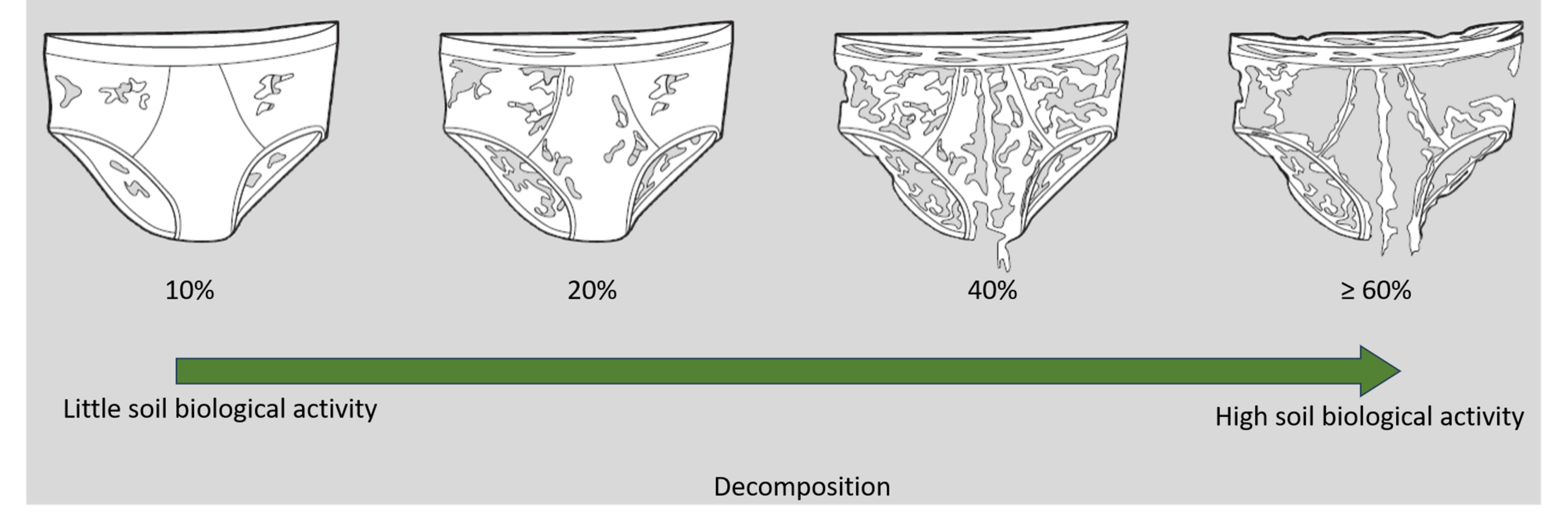 Underpants decomposition as indicator for soil biological activity